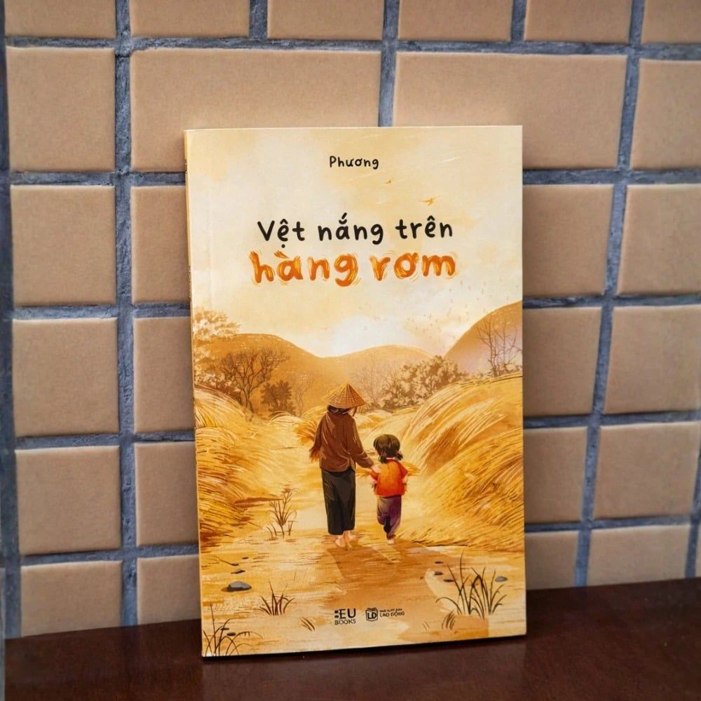 Vệt Nắng Trên Hàng Rơm