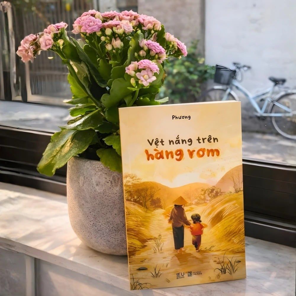 Vệt Nắng Trên Hàng Rơm