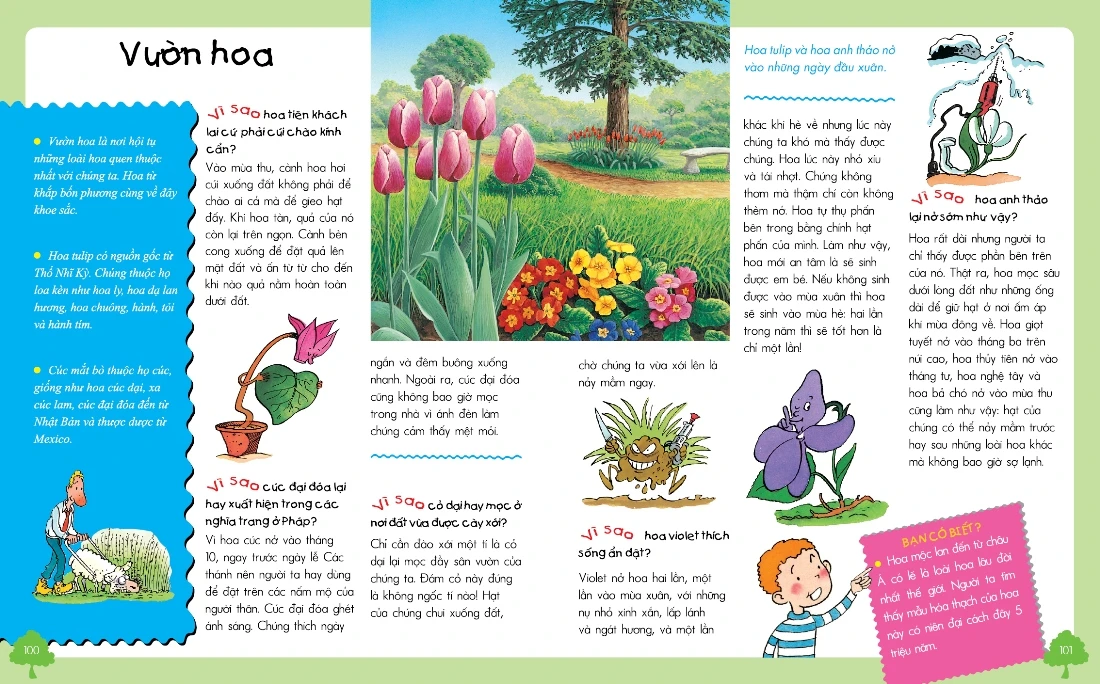 THẾ GIỚI TỰ NHIÊN-VÌ SAO-NHƯ THẾ NÀO (TB)