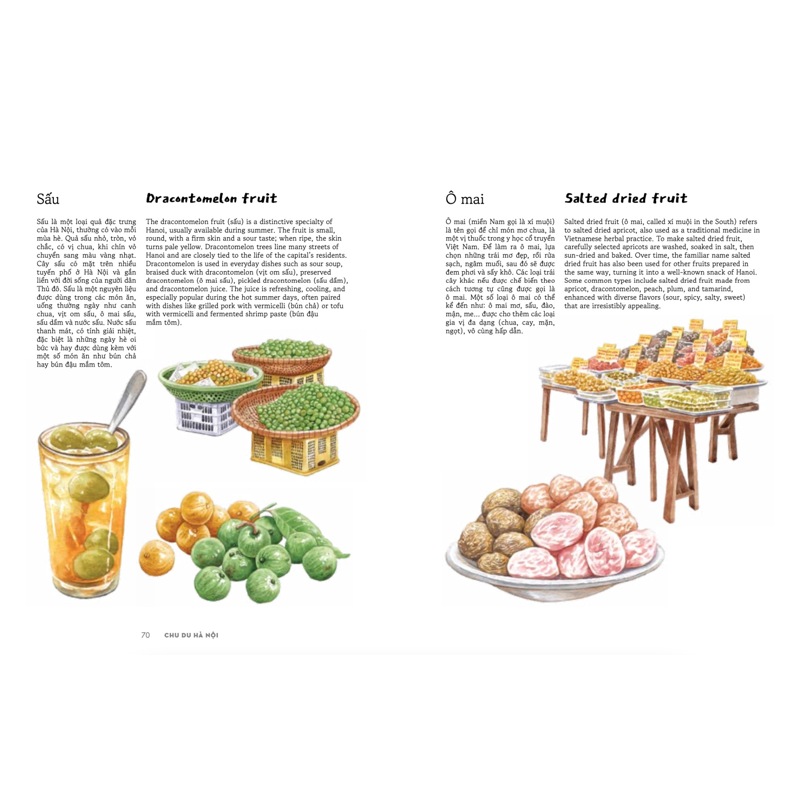 Việt Nam Dọc Miền Du Ký T3-Chu Du Hà Nội (Sn)(bc)