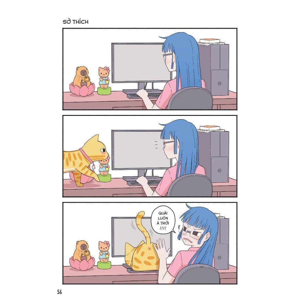 Vitamin Mèo Và Những Câu Chuyện Bất Tận