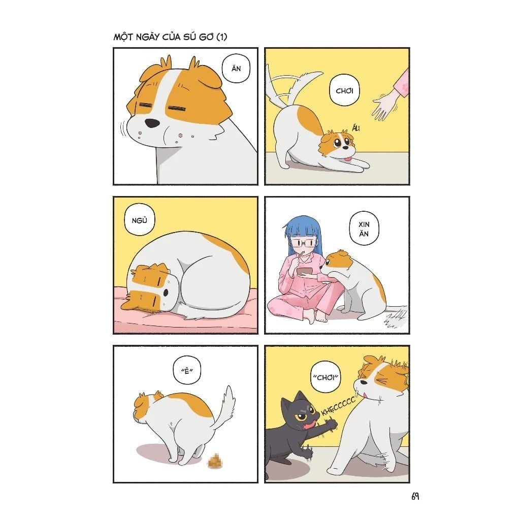 Vitamin Mèo Và Những Câu Chuyện Bất Tận