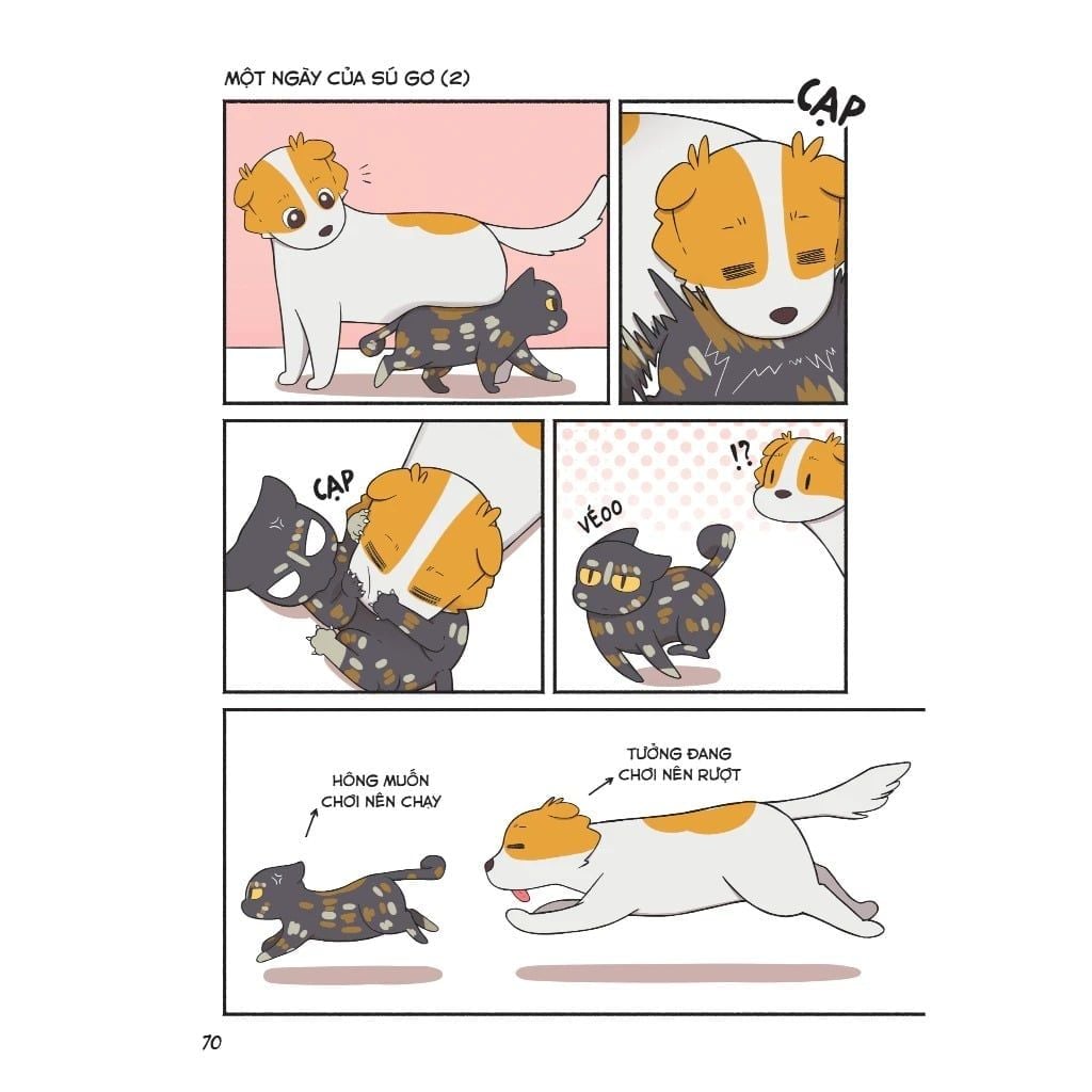 Vitamin Mèo Và Những Câu Chuyện Bất Tận