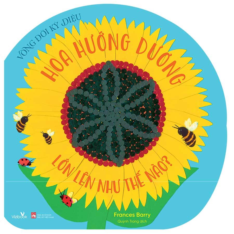 Vòng Đời Kỳ Diệu - Hoa Hướng Dương Lớn Lên Như Thế Nào?