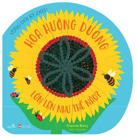 Vòng Đời Kỳ Diệu - Hoa Hướng Dương Lớn Lên Như Thế Nào?