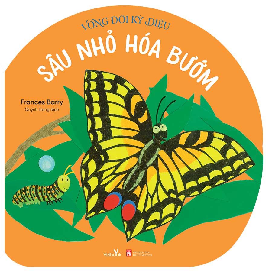 Vòng Đời Kỳ Diệu - Sâu Nhỏ Hóa Bướm