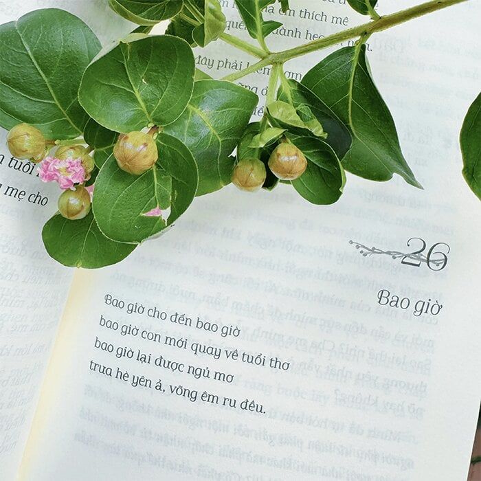 Vườn Nhà Có Nắng Trong Lòng Nở Hoa