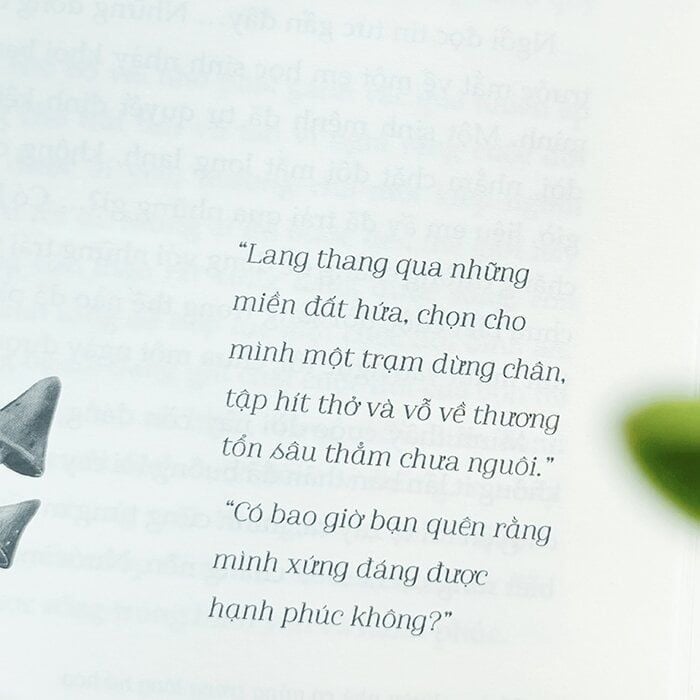 Vườn Nhà Có Nắng Trong Lòng Nở Hoa