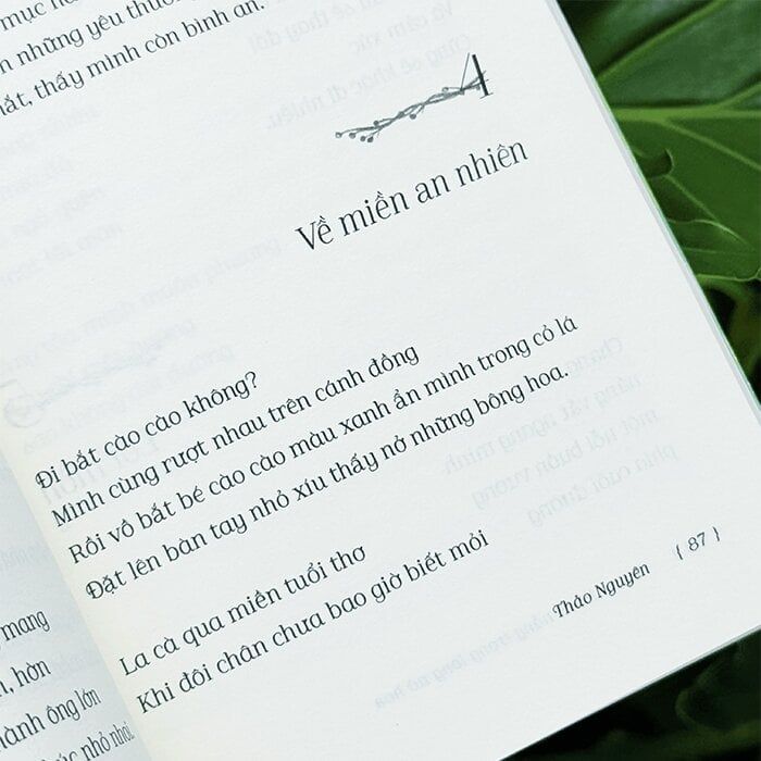 Vườn Nhà Có Nắng Trong Lòng Nở Hoa
