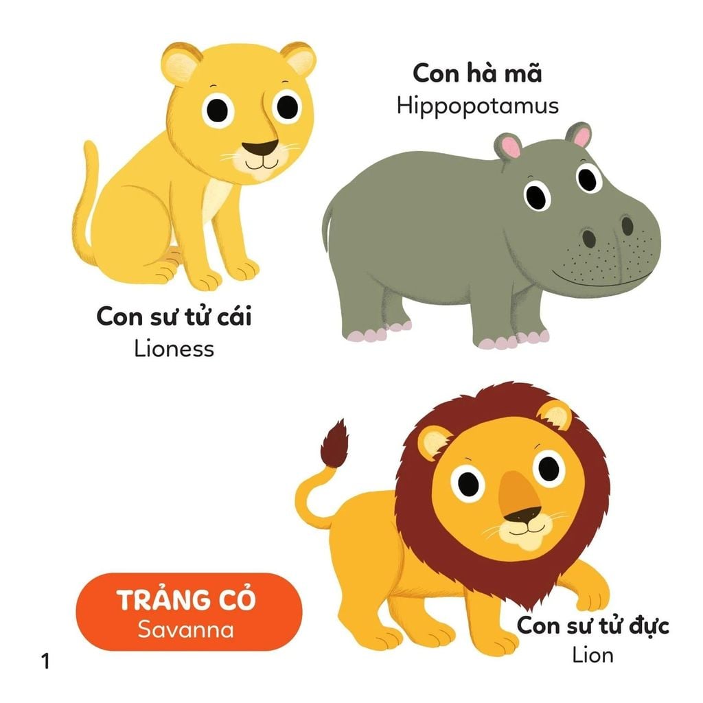 Xoay Xoay Xoay - Đi Tìm Vườn Thú