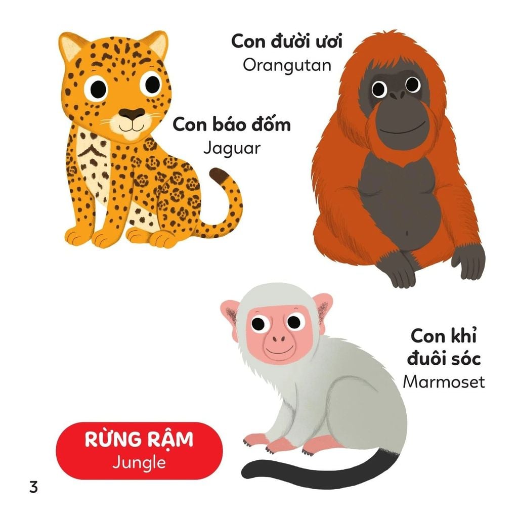 Xoay Xoay Xoay - Đi Tìm Vườn Thú