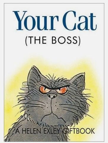 Your Cat The Boss