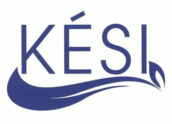 Kési