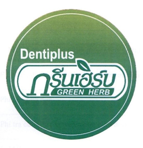 Dentiplus nsuiosu GREEN HERB