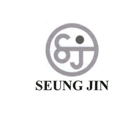 SEUNG JIN S J
