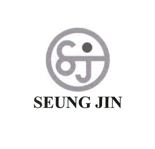 SEUNG JIN