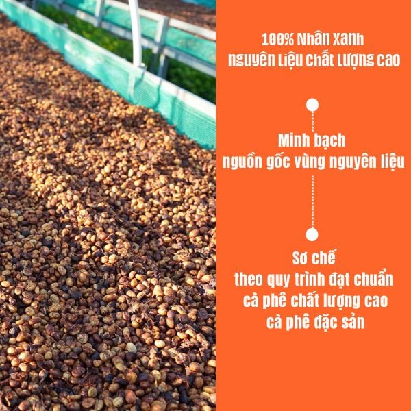 Cà Phê Đặc Sản ROBUSTA HONEY Nguyên Chất Rạng Mộc Body Đắng Đầm Hậu Vị Ngọt Sâu