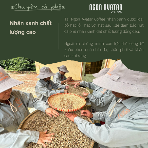 Cà Phê 80% Robusta mix 20% Arabica Cầu Đất, Sơ Chế Honey Đậm Vừa, Hậu Ngọt Kéo Dài