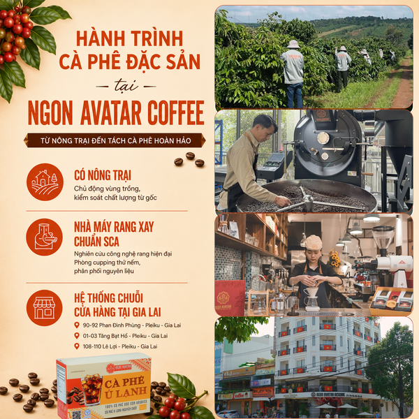Cà phê Cold Brew Ngon Avatar 100% Arabica Đặc Sản Cầu Đất - Cà phê ủ lạnh túi lọc từ Nhật Bản cao cấp