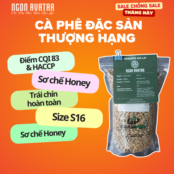 Cà Phê Nhân Xanh Robusta Honey Ngon Avatar Coffee Chọn Lọc Trái Chín Hoàn Toàn, S16, Chưa Rang