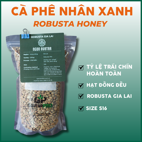 Cà Phê Nhân Xanh Robusta Honey Ngon Avatar Coffee Chọn Lọc Trái Chín Hoàn Toàn, S16, Chưa Rang