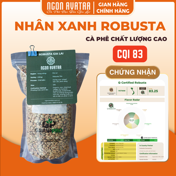 Cà Phê Nhân Xanh Robusta Honey Ngon Avatar Coffee Chọn Lọc Trái Chín Hoàn Toàn, S16, Chưa Rang
