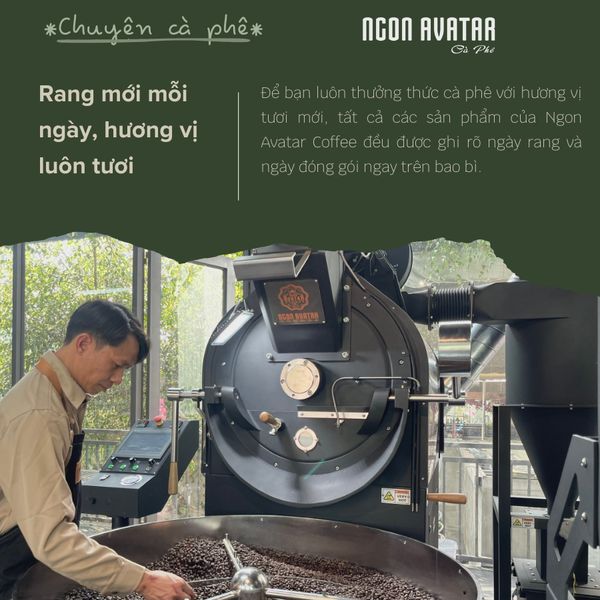 Cà phê ROBUSTA và ARABICA HONEY (50g dùng thử) nguyên chất rang mộc, đậm vị, hậu ngọt thơm nồng, pha phin pha máy.