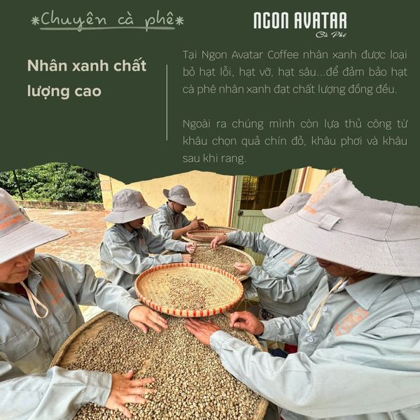 Cà phê ROBUSTA và ARABICA HONEY (50g dùng thử) nguyên chất rang mộc, đậm vị, hậu ngọt thơm nồng, pha phin pha máy.