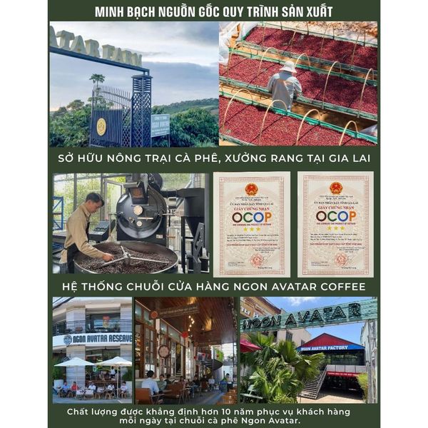 Combo 3 Gói Cà Phê Đậm Đà Dùng Thử: Robusta Nguyên Chất, Blend Arabica & Thượng Hạng - GÓI 50 GRAM