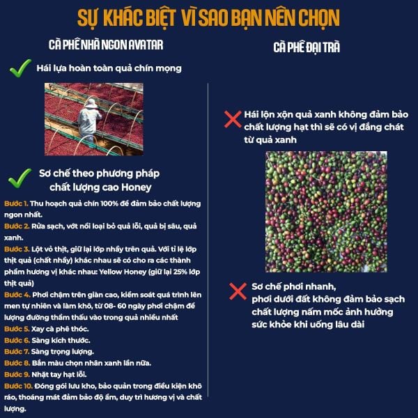 Cà Phê Đặc Sản ROBUSTA HONEY Nguyên Chất Rạng Mộc Body Đắng Đầm Hậu Vị Ngọt Sâu