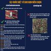 Cà Phê Đặc Sản ROBUSTA HONEY Nguyên Chất Rạng Mộc Body Đắng Đầm Hậu Vị Ngọt Sâu