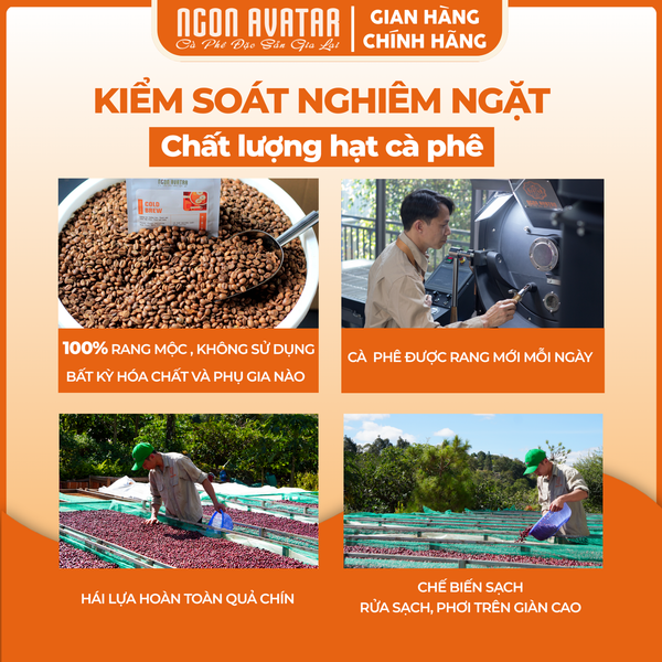 Cà Phê Ủ Lạnh Cold Brew Túi Lọc Nguyên Chất 100%, Hỗ Trợ Giảm Cân, Thơm Ngon Hương Thơm Trái Cây Dễ Uống