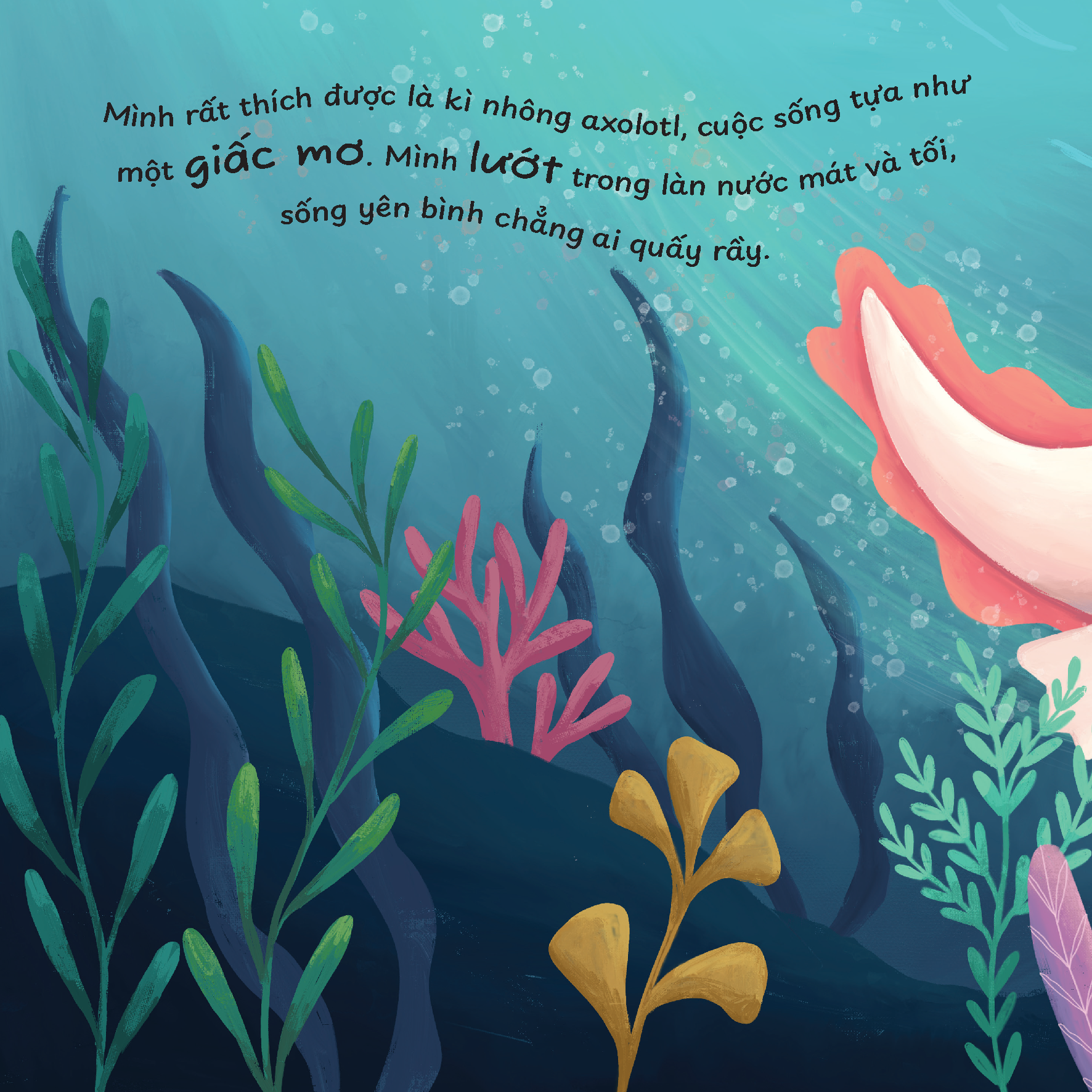 Truyện kể trước giờ ngủ - Mình thích được làm một chú kì nhông Axolotl