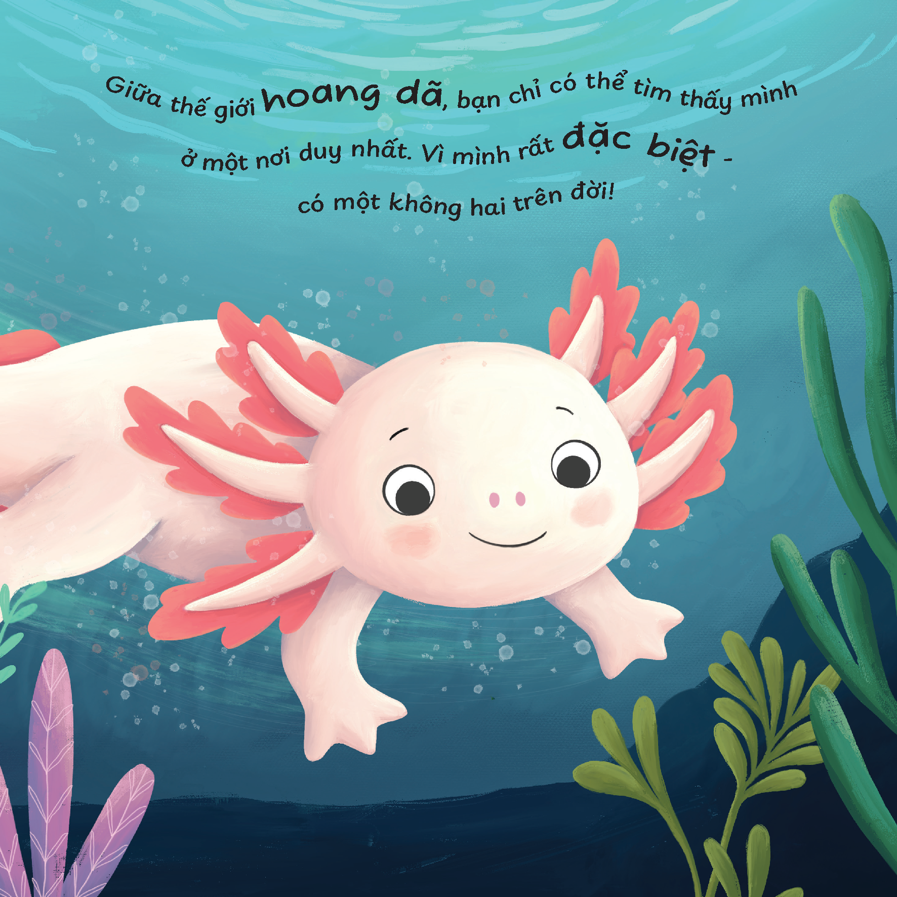 Truyện kể trước giờ ngủ - Mình thích được làm một chú kì nhông Axolotl