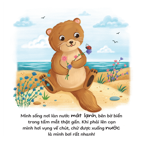 Truyện kể trước giờ ngủ - Mình thích được làm rái cá biển!