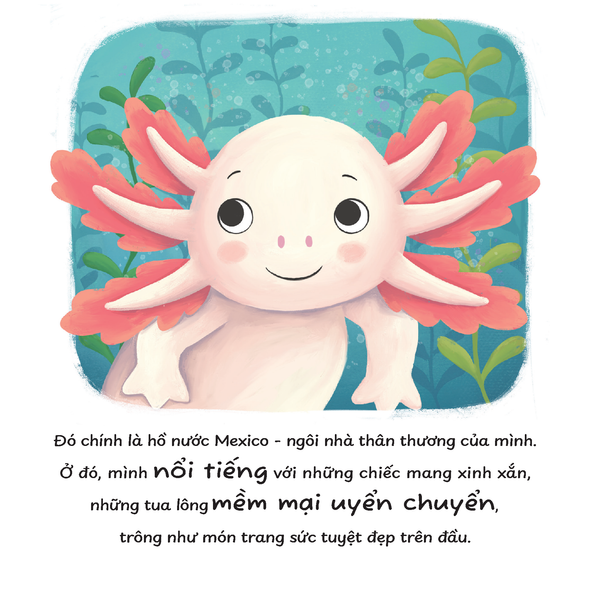 Truyện kể trước giờ ngủ - Mình thích được làm một chú kì nhông Axolotl