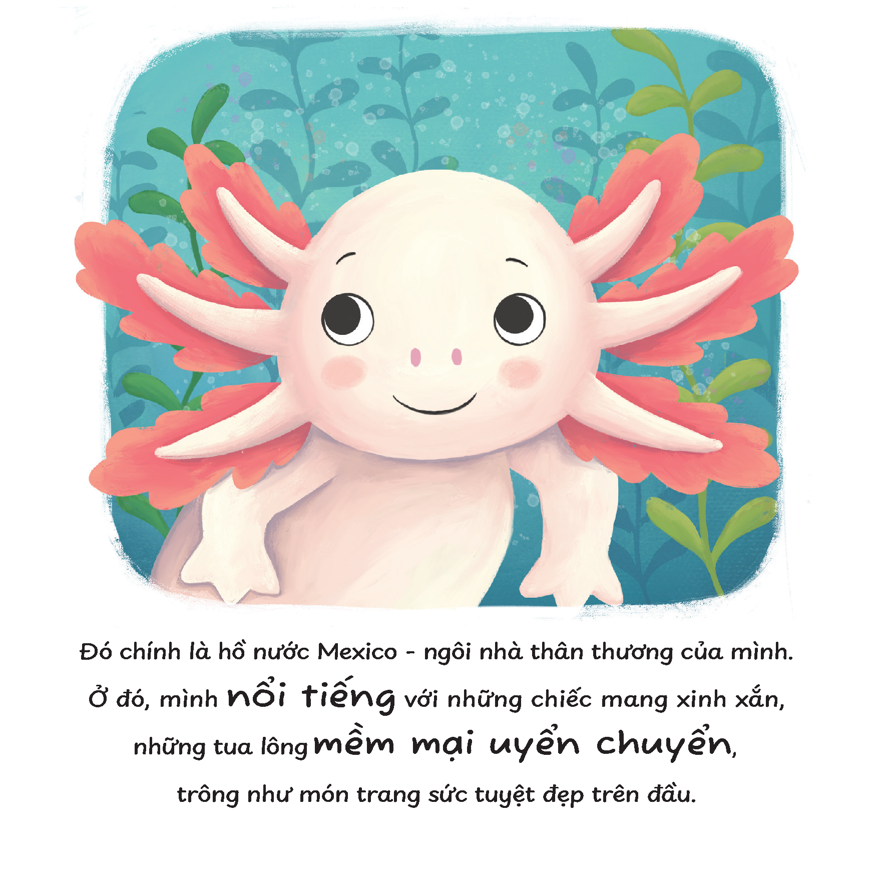 Truyện kể trước giờ ngủ - Mình thích được làm một chú kì nhông Axolotl
