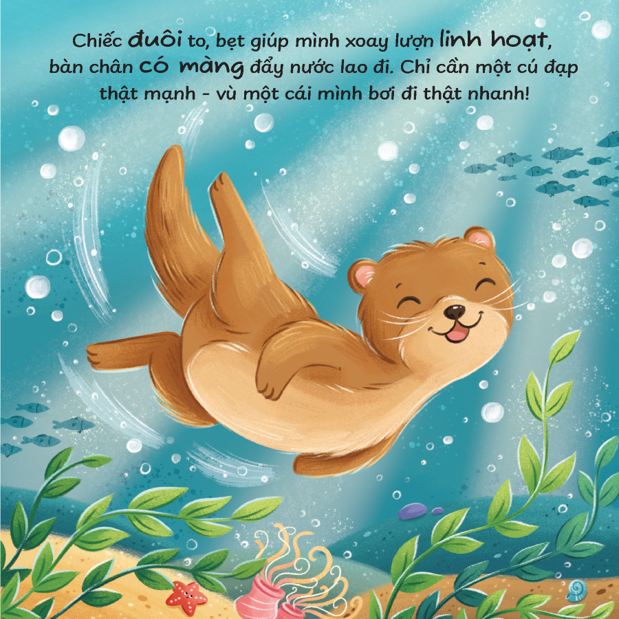 Trọn bộ sách Truyện kể trước giờ ngủ