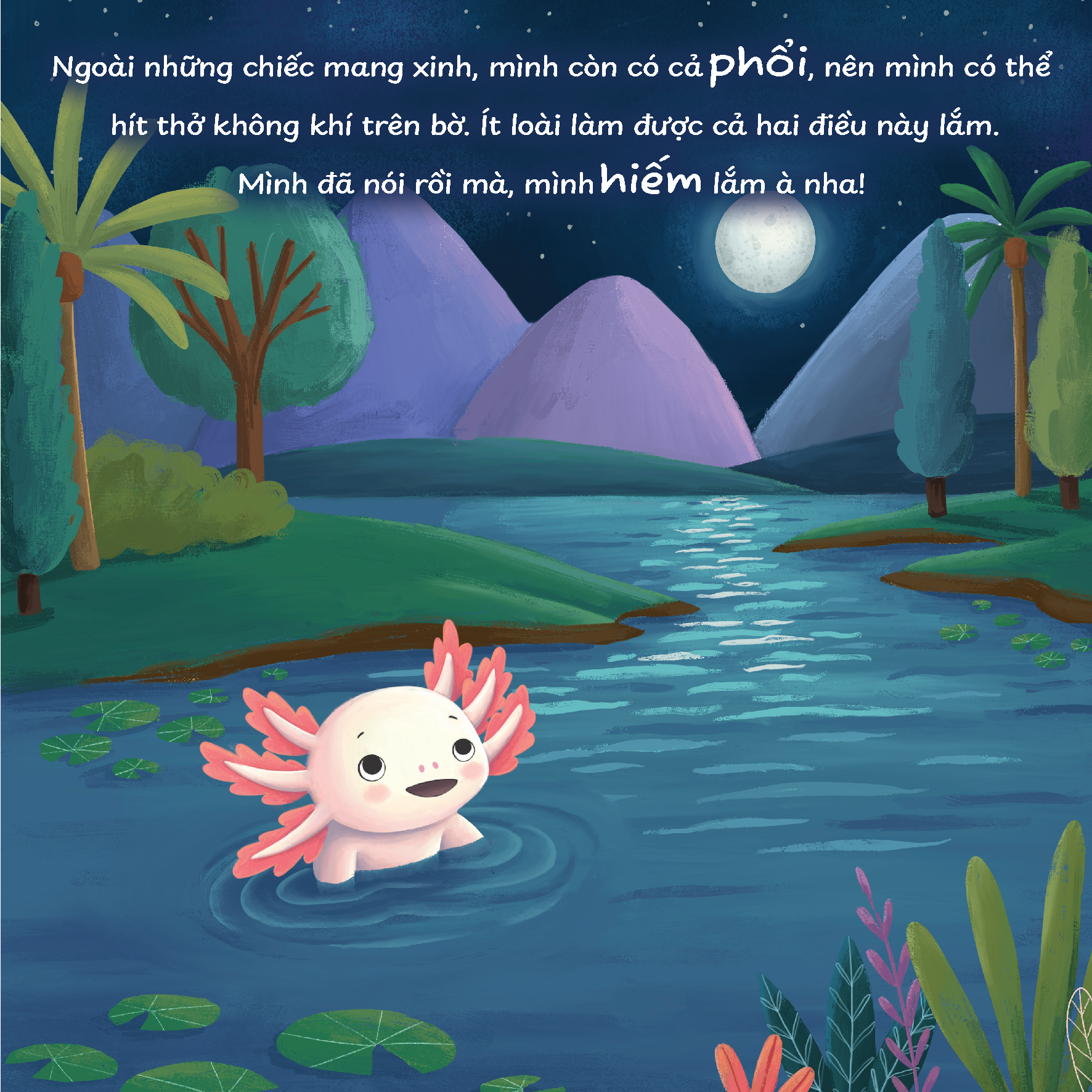 Truyện kể trước giờ ngủ - Mình thích được làm một chú kì nhông Axolotl