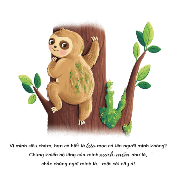 Truyện kể trước giờ ngủ - Mình thích được làm một chú lười
