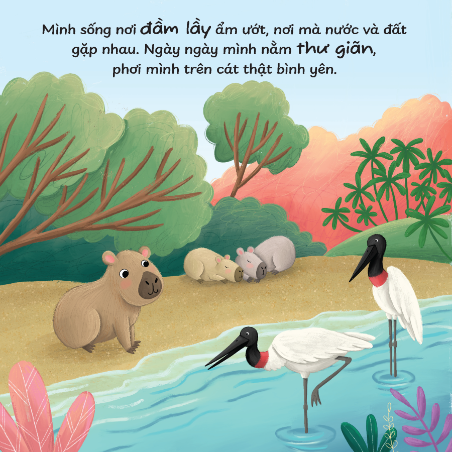Trọn bộ sách Truyện kể trước giờ ngủ