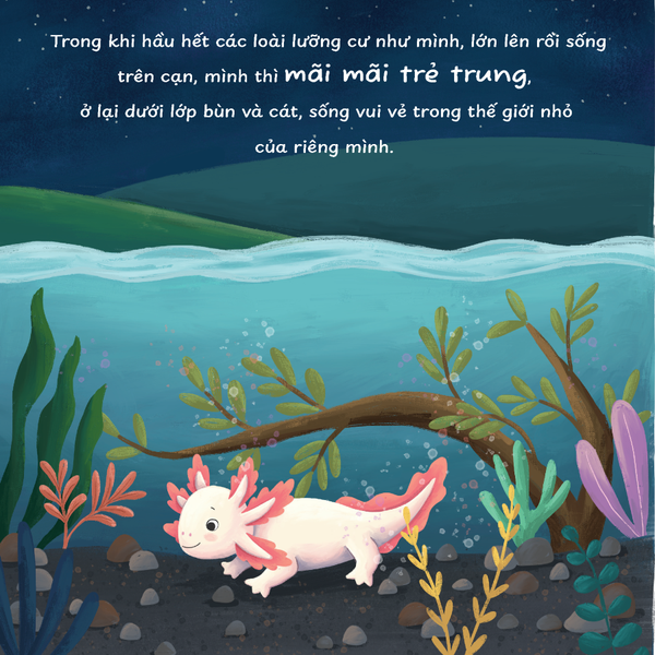 Trọn bộ sách Truyện kể trước giờ ngủ