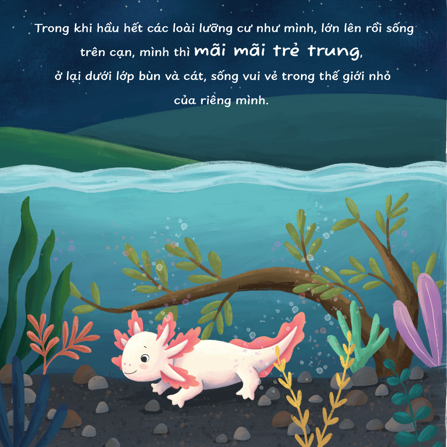Trọn bộ sách Truyện kể trước giờ ngủ
