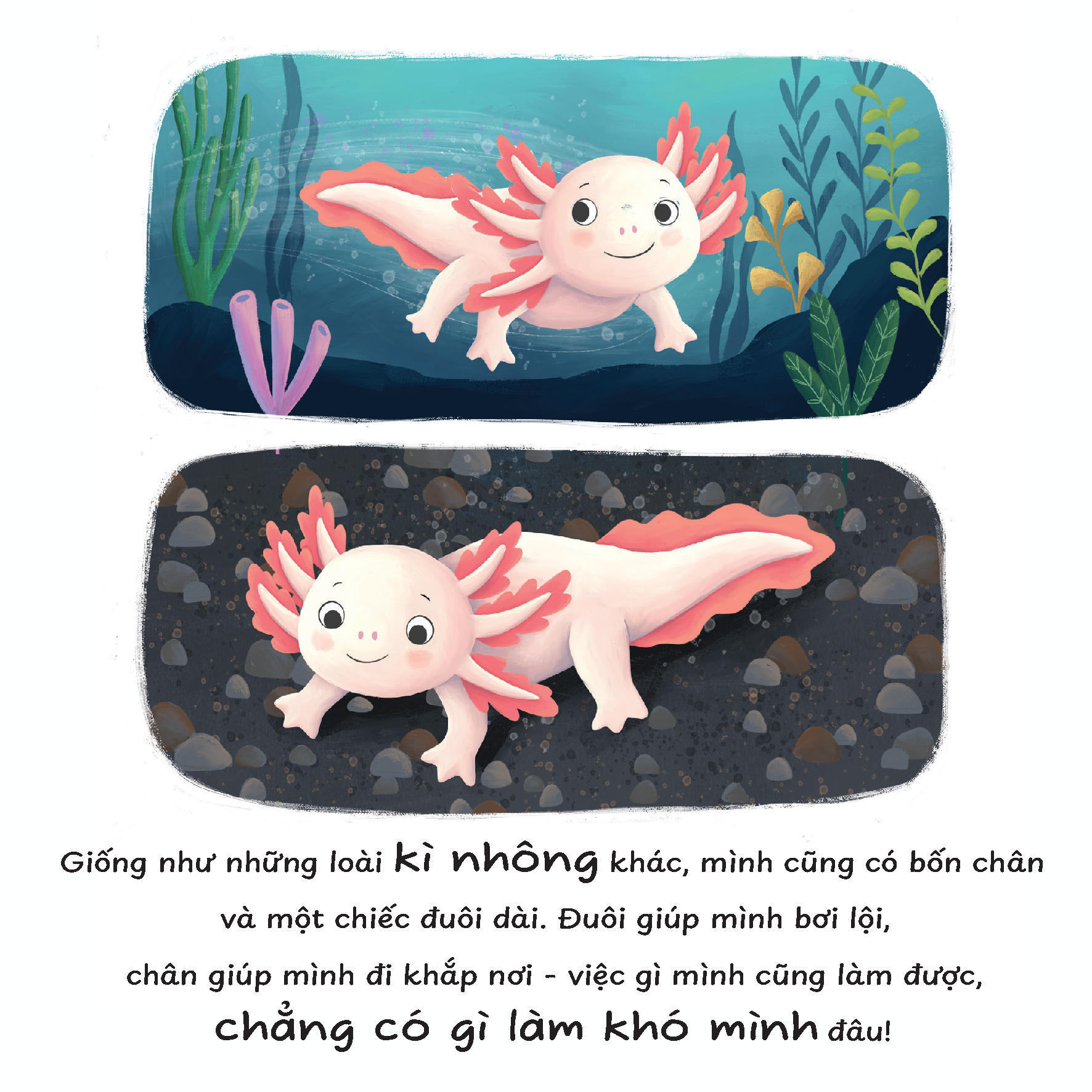 Truyện kể trước giờ ngủ - Mình thích được làm một chú kì nhông Axolotl