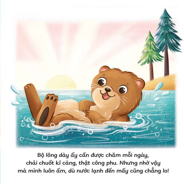 Truyện kể trước giờ ngủ - Mình thích được làm rái cá biển!