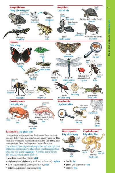 Oxford Advanced Learner