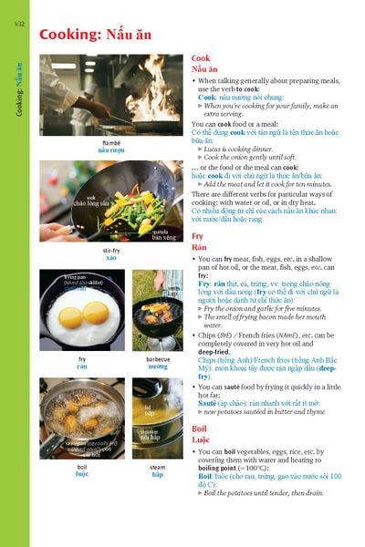 Oxford Advanced Learner