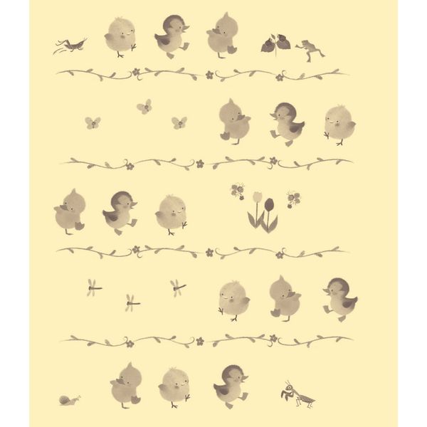 Gà con Piyo và Xuân Hạ Thu Đông