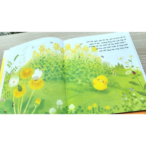 Gà con và hoa hướng dương