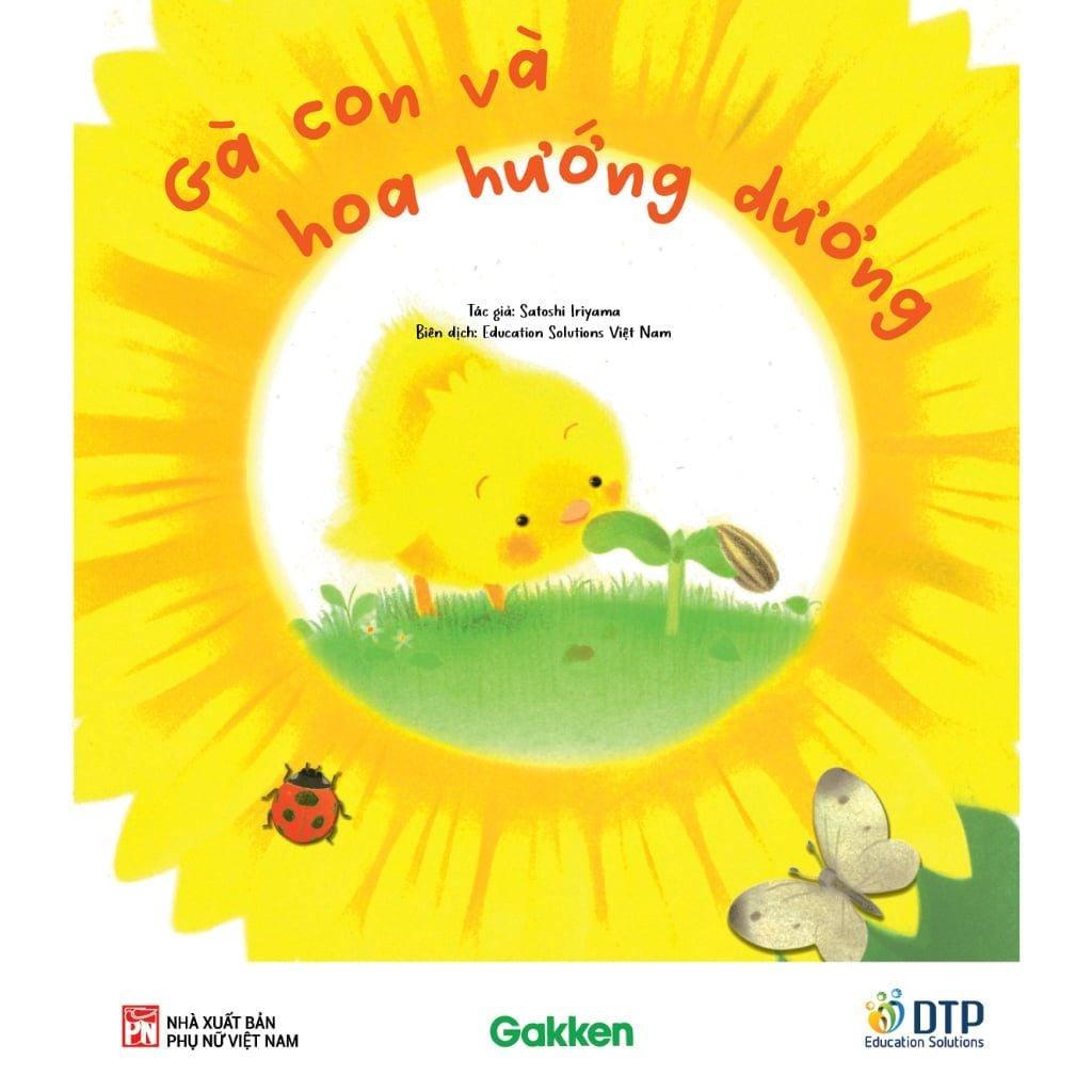 Gà con và hoa hướng dương